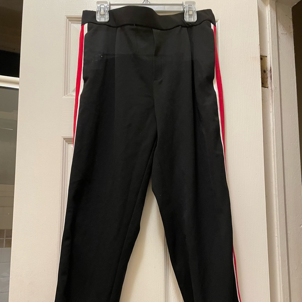 Zara Striped Pant Trouser